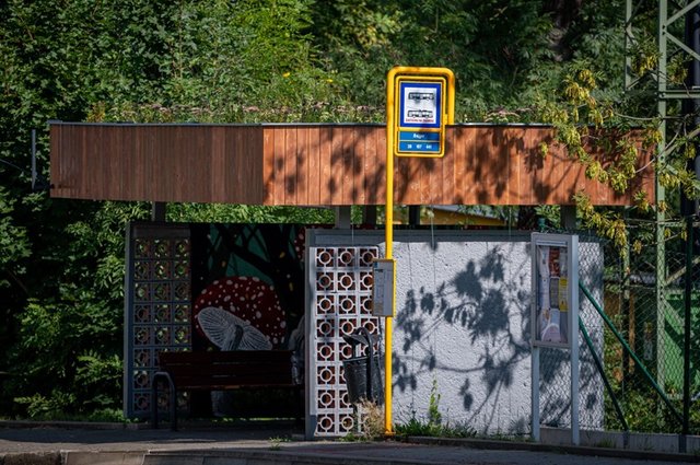 Ozelenění střech zastávek_foto Lukáš Kaboň