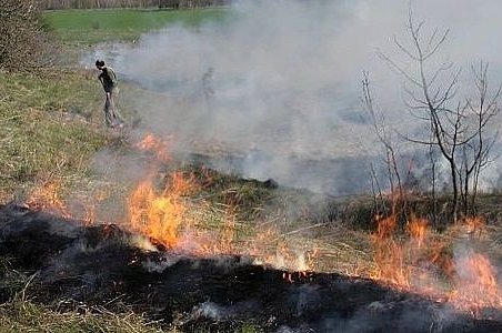 Pálení klestí, listí a trávy zhoršuje kvalitu vzduchu i vztahy se sousedy