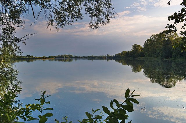 Pohled_na_Chomoutovské_jezero,_okres_Olomouc_(02)