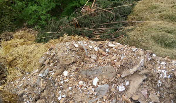 Pokutu za ohrožení životního prostředí v lesích uložili inspektoři ČIŽP obci Souňov