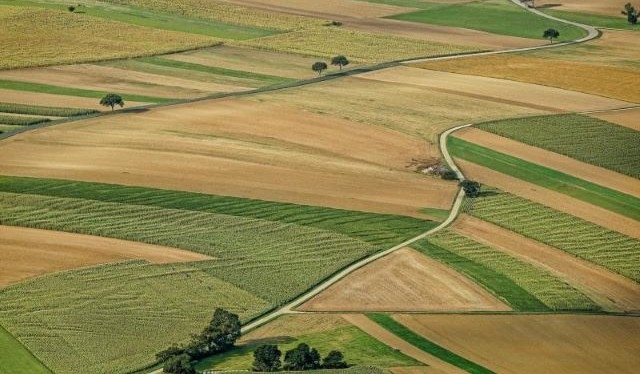 Praha schválila nové podmínky hospodaření na svých polích