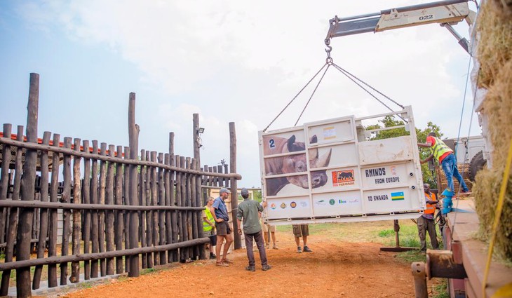 Safari Park Dvůr Králové bezpečně přepravil pět nosorožců do Rwandy