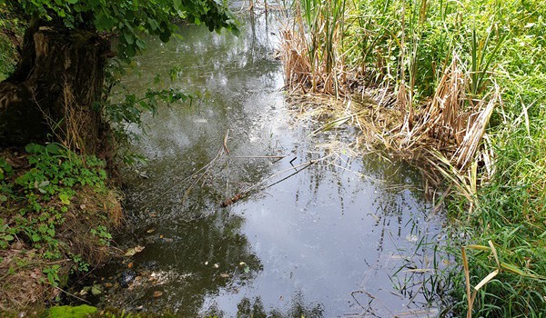 Společnost FONTEA pokutována za znečištění dvou potoků v CHKO odpadními vodami
