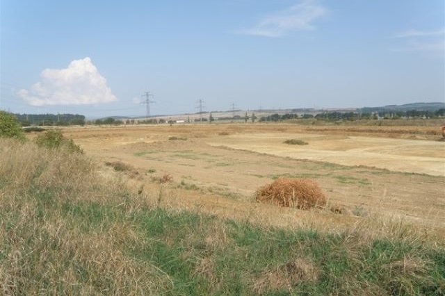 Společnost zničila biotopy zvláště chráněných druhů živočichů