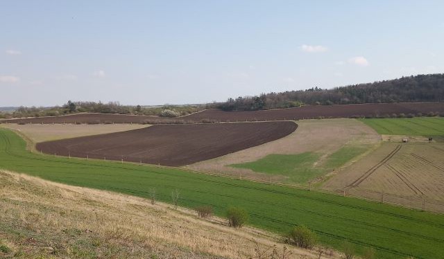 Spotřeba pesticidů v České republice za rok 2019 opět klesla