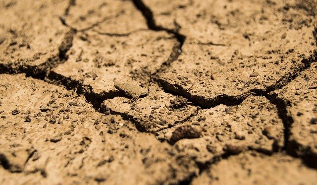 Sucho 2020: Situace po zimě je kritická