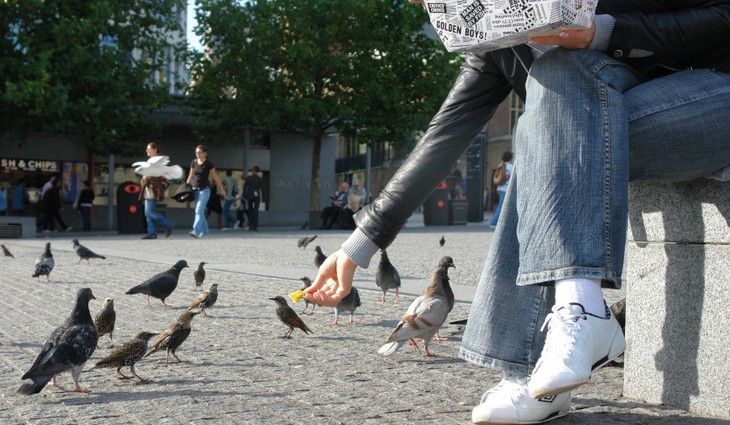 V Olomouci platí nová vyhláška, týká se čistoty ulic, veřejných prostranství, zeleně i mobiliáře