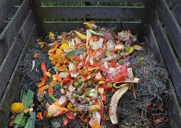 V březnu mohou obyvatelé Brna získat kompostér zdarma