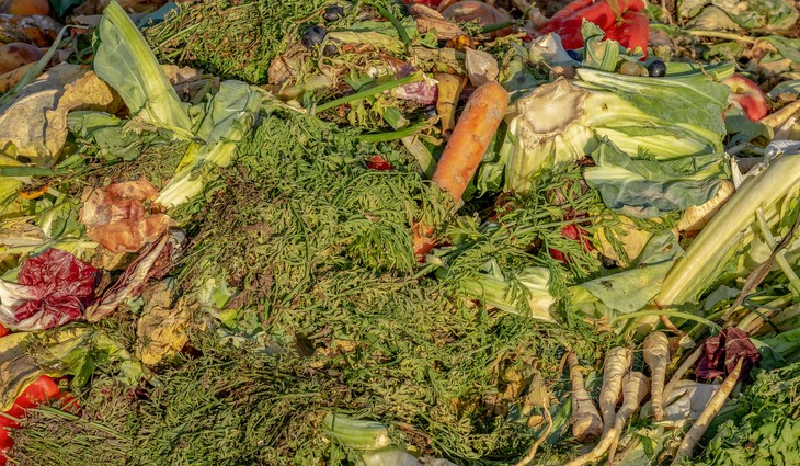 V metropoli startuje sezónní svoz bioodpadu