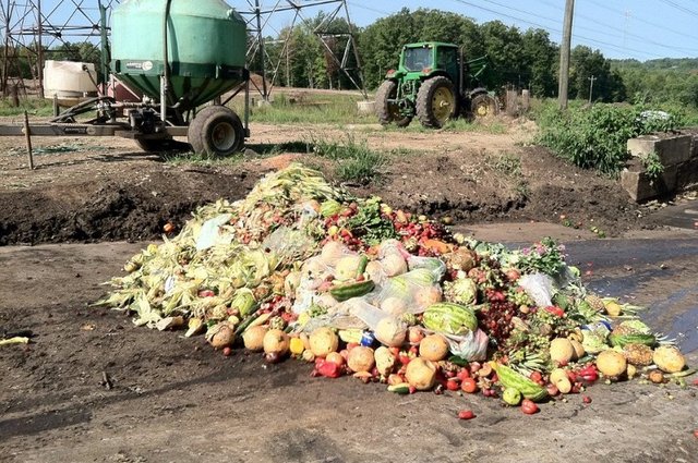 Video: Jak nakládat s gastroodpady?