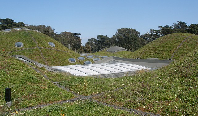 Zelené střechy ochlazují města