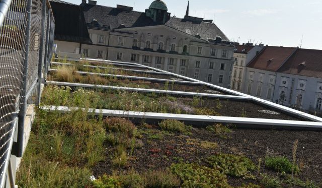 Zlepšit životní prostředí v Brně pomůže dešťová voda i žížaly dešťovky