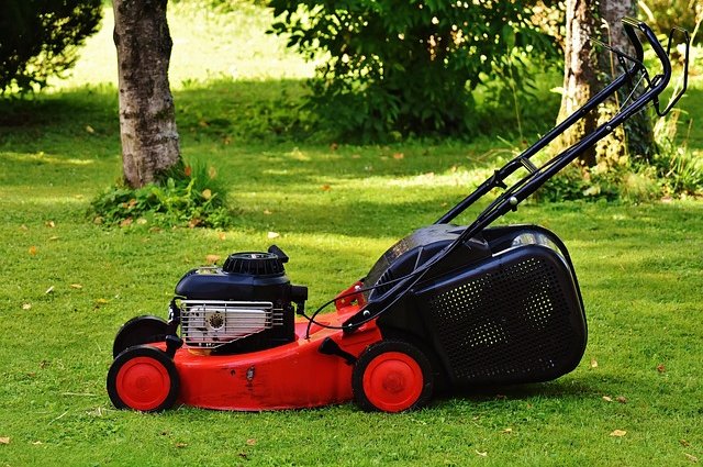 alexas_fotos-lawn-mower-1593898_640