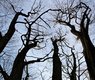arcaion-fear-3264520_640