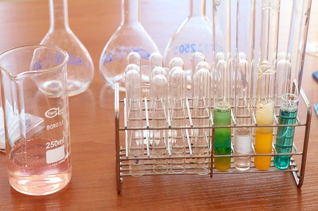 bdyczewski-lab-1009190_640