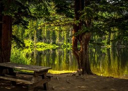 bench-2178847_640