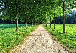 biaim-landscape-2579952_640