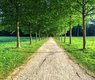 biaim-landscape-2579952_640