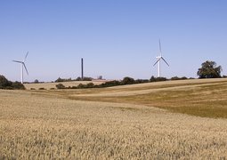 bjonsson-cornfield-3586413_640