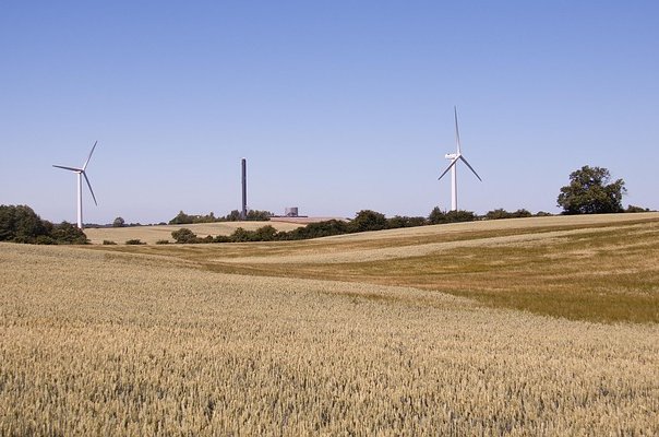 bjonsson-cornfield-3586413_640