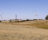 bjonsson-cornfield-3586413_640