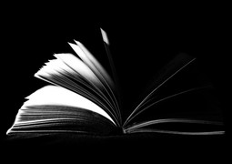 book-open-wing-black-and-white-photography-leaf-851207-pxhere.com