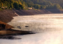 bru-no-water-5148391_640
