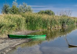 carlos_bonilla_miranda-barca-1745167_640