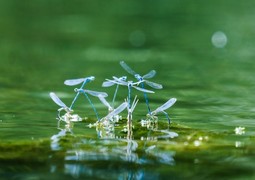 clement-falize-qNrtLkJ6xsQ-unsplash