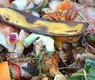 compost-709020_1280