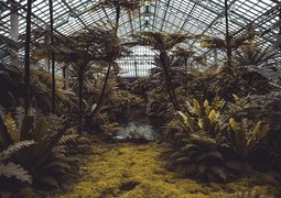 conservatory-4161955_640