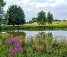 derks24-nature-6599949_640