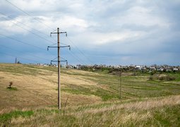 dmvl-meadow-7169164_640