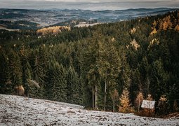 evalangrova-winter-3116274_640