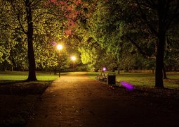ferobanjo-night-982345_640
