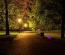 ferobanjo-night-982345_640