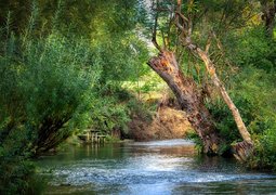 fietzfotos-river-7415161_640