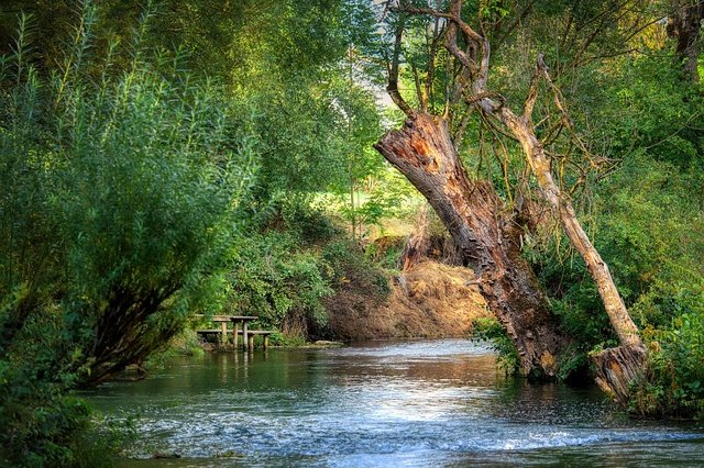 fietzfotos-river-7415161_640