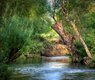 fietzfotos-river-7415161_640