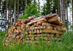 filmbetrachter-pile-of-wood-4272381_640