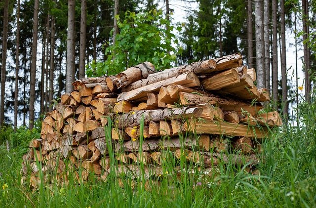 filmbetrachter-pile-of-wood-4272381_640