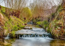 fotoemotions-stream-bed-4157032_640