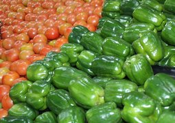 fresh-vegetables-2722679_640