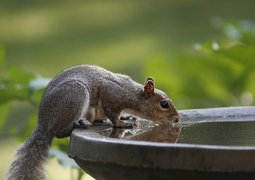 georgialens-water-3385981_640