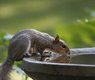 georgialens-water-3385981_640