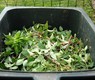 green-waste-486011_640