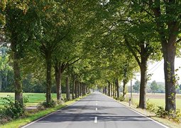 hpgruesen-country-road-1768465_640