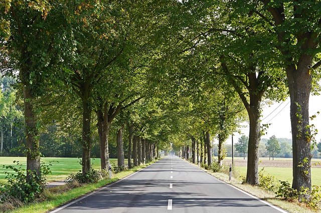 hpgruesen-country-road-1768465_640