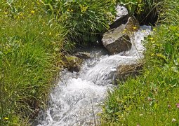 hpgruesen-mountain-spring-2676322_640