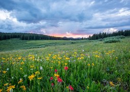 joel-holland-TRhGEGdw-YY-unsplash